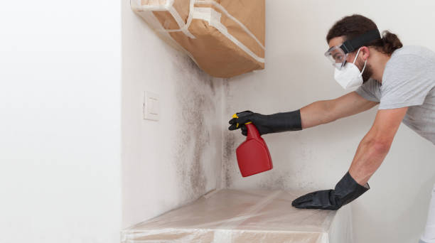 Professional Mold Removal technician working in Sayreville, NJ